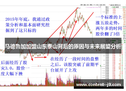 马德鲁加加盟山东泰山背后的原因与未来展望分析
