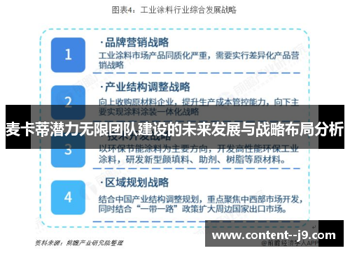 麦卡蒂潜力无限团队建设的未来发展与战略布局分析
