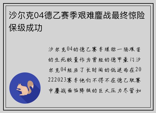 沙尔克04德乙赛季艰难鏖战最终惊险保级成功